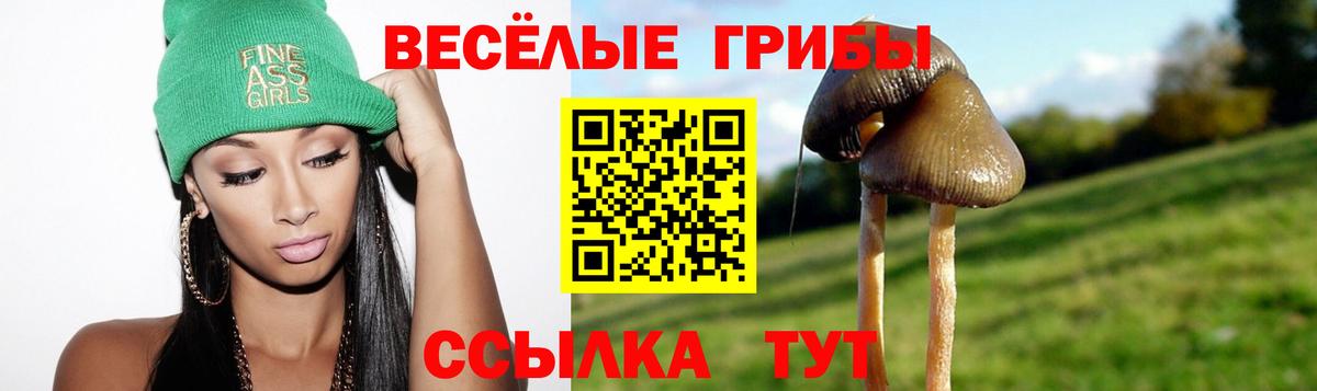 Галлюциногенные грибы мицелий  Вход с VPN  Псилоцибиновые грибы мицелий  Новокузнецк 
